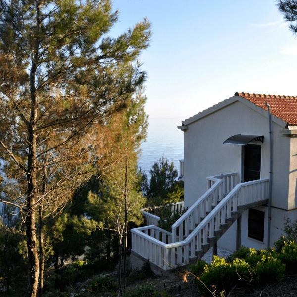 Villa Victor Babino Polje Exteriör bild